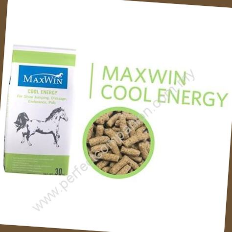 maxwin energy